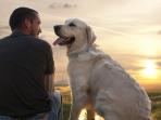 anjing-dan-manusia_20160809_133323.jpg