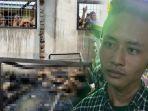 bagas-gagal-menikah-karena-calon-istri-tewas-terpanggang-dalam-kebakaran-pabrik-mancis.jpg
