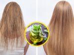 bahan-alami-untuk-melebatkan-rambut.jpg