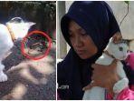 berkat-kucing-peliharaannya-keluarga-ini-selamat-dari-teror-ular-kobra.jpg