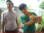 betrand-perlihatkan-ayam-peliharaannya-ruben-onsu-langsung-ancam-putranya.jpg