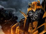 bumblebee_20170623_134921.jpg