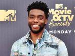 chadwick-boseman-pemeran-black-panther.jpg