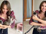 cinta-laura-adopsi-dua-kucing-2.jpg