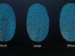 contoh-pola-sidik-jari-yang-dikenali-touch-id_20160827_163217.jpg
