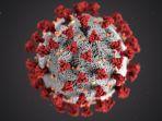 coronavirus-cdc.jpg