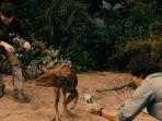 cuplikan-film-the-dinosaur-project.jpg