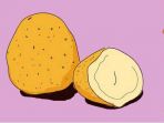 diet-dengan-kentang_20180308_152157.jpg