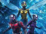film-ant-man-and-the-wasp-quantumania.jpg