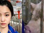 gadis-asal-china-memilih-jadi-peternak-babi.jpg