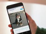 google-allo_20160808_174800.jpg