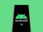 google-android-12-2252021.jpg
