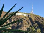 hollyweed-1_20170102_132841.jpg