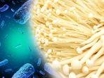 ilustrasi-jamur-enoki-dan-bakteri-listeria-1.jpg