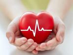 ilustrasi-jantung_20161213_161523.jpg