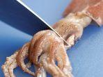 ilustrasi-memotong-cumi.jpg