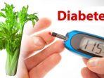 ilustrasi-seledri-dan-pengukur-diabetes.jpg