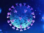 ilustrasi-virus-corona-covid-19-biru-pink.jpg