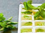 jus-jeruk-nipis-dan-mint.jpg
