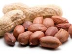 kacang-tanah_20180819_154511.jpg