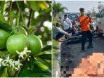 kecelakaanmaut-tunggal-pemotor-menabrak-trotoar-di-depan-terminal-tambak.jpg