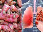 khasiat-jahe-merah-untuk-pencegahan-virus-corona.jpg