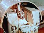 laika-anjing-pertama-yang-orbit.jpg