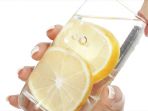 lemon_20170407_083727.jpg
