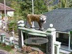 macan-cisewu_20170318_164524.jpg
