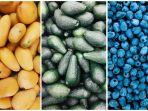 mangga-aplukat-dan-blueberry.jpg