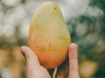 mangga-unsplash-a.jpg