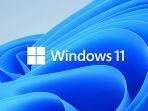 microsoft-windows-11-2102021.jpg