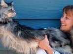 mymains-stewart-gilligan_20170208_125052.jpg