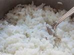 nasi-putih.jpg