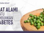 obat-alami-diabetes.jpg