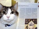 oscar-kucing-yang-bisa-prediksi-kematian-seseorang.jpg