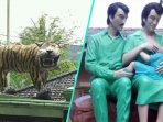patung-macan-cisewu-dan-patung-bapak-bapak-menyusui_20170316_190019.jpg