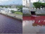 penduduk-okinawa-gempar-mendapati-air-laut-tiba-tiba-berubah-menjadi-semerah-darah.jpg