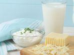 produk-olahan-susu-keju-dairy.jpg