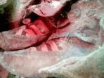 sepatu-mumi_20170302_192407.jpg