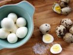telur-puyuh_20180517_181351.jpg