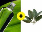 tingtur-daun-sage.jpg