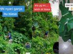 viral-anggota-bnn-mencari-tanaman-hias-di-hutan.jpg