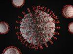 virus-corona-unsplash-new.jpg