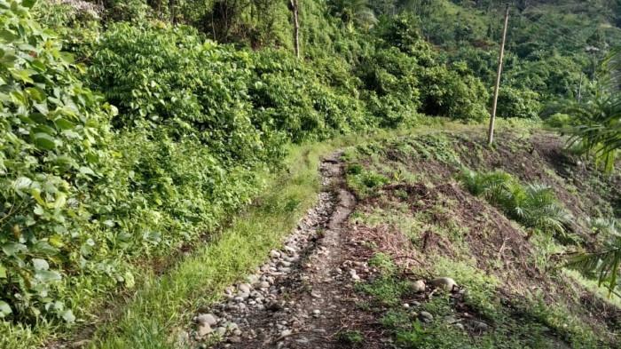 Kondisi jalan sepanjang kurang lebih 10 kilometer yang menghubungkan Kalibamba-Poinje