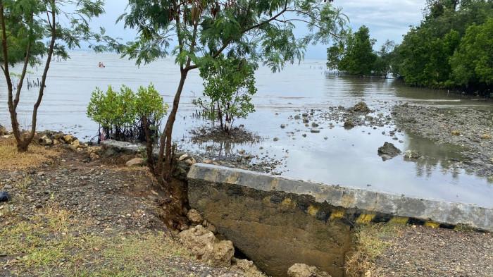 Kondisi tanggul di pantai Desa Pangiang, Pasangkayu