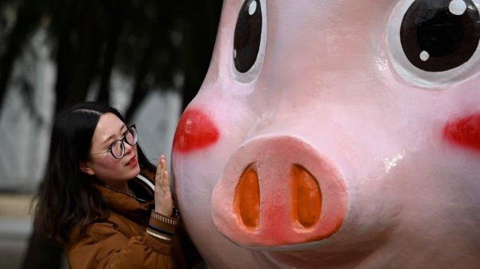 Seorang wanita berpose dengan patung Shio Babi menjelang Tahun Baru Imlek di Beijing pada 2 Februari 2019.
