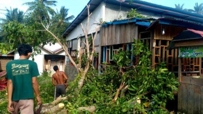 ANGIN KENCANG - Rumah warga tertimpa pohon tumbang akibat angin kencang yang terjadi pada Jumat (9/2/2025) malam, di Kecamatan Bambalamotu, Pasangkayu, Sulawesi Barat.