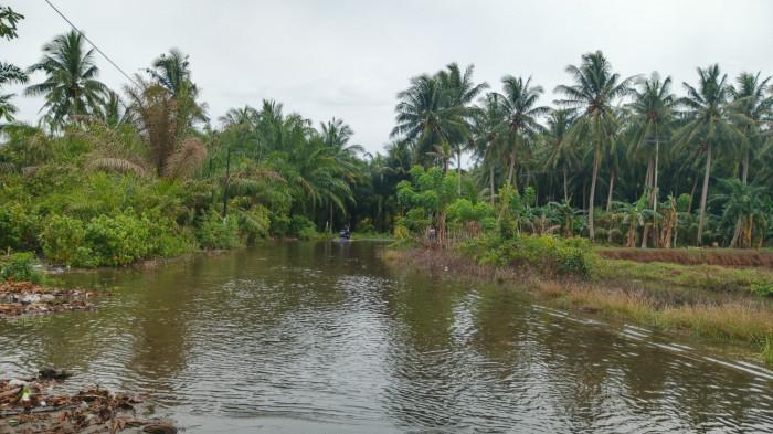 banjir ron