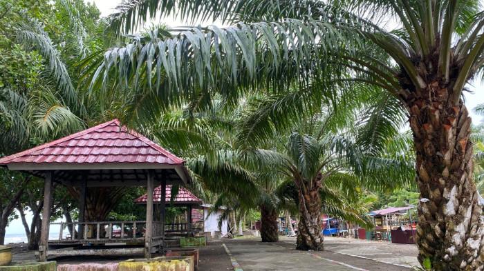 wisatwa spe